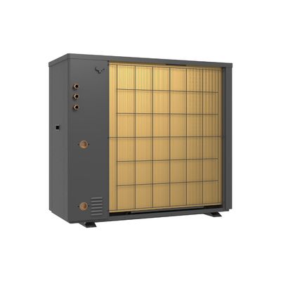Acciaio Galvanizzato 3 Fase 16kw Inverter R290 Pompa di Calore Monoblocco Per Zona Fredda